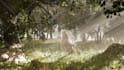 make 3d environment in unreal engine