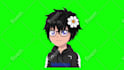 draw custom png tuber or giftuber for vtuber streamer