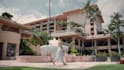 do professional video color grading as a film colorist