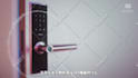 professionally add chinese subtitles captions to video
