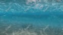 remove video green background moving object, rotate logo and watermark