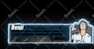 design custom health bar for apexlegends,warzone,fortnite