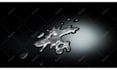 create high quality animated logo intro video in after effects