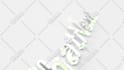 custom logo animation for you