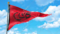 create a real looking flag animation from any image or logo