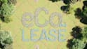 do cinematic eco friendly nature 3d rendering animation intro video from logo