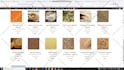 design and develop website in required cms