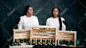 do any video editing professionally with fast delivery youtube short or longform