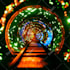 design motion graphics and loop