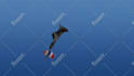 do skydiving with your flag