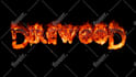 do fire flame design your logo