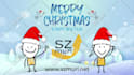 create 2d character animated explainer sales video