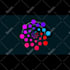 build high end gsap scroll animations and interactive lottie motion