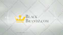 create 3 corporate clean logo intro video animation in HD