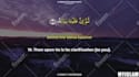 create islamic quran video with karaoke style