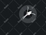make a custom 2d animation or edit after effects template
