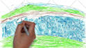 provide multilingual whiteboard and 2d explainer videos