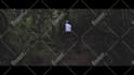 do professional video editing and motion graphics