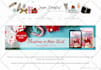 develop custom professional CSS, svg, js and gsap animation for website