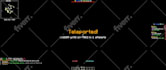 setup your professional and profitable minecraft server
