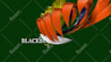 create 3d logo animation for youtube and business intro video