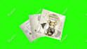 create your book and magazine promo video