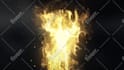 create 3 amazing phoenix fire logo animation intro