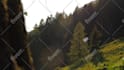 do visual effects and compositing
