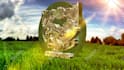 make an awesome 3d nature logo