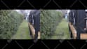colorgrade, stabilize, resize, sharpen video