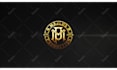 create amazing logo reveal intro animation video
