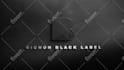 create amazing silver or bronze intro logo animation in 3d
