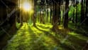 create an amazing image animation