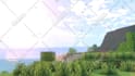 do a professional minecraft animation