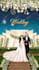 create an amazing  animated wedding invitation video and cards