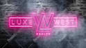 make intro neon animation with your logo design or text