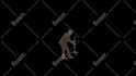 do vfx, rotoscoping, roto, object remove professionally