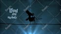create stunning animated lyric music video for your song