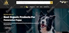 develop an eye catching website