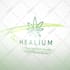 create a elegant nature logo animation with full HD