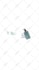 do clean custom logo animations