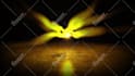 create light reveal logo animation