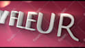 create a custom motion graphics animated logo intro