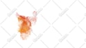 morph your old logo into new one