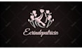 make trendy custom logo animation