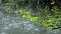 create HD thunder sounds with rain video