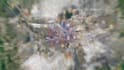 do smooth google earth zoom animation