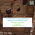 design creative video ads for facebook and instagram