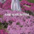 make an amazing animated lyric video