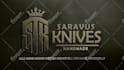 create amazing silver or bronze intro logo animation in 3d